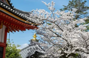 da74077b-1b62-4d75-8967-06a41c53fd59