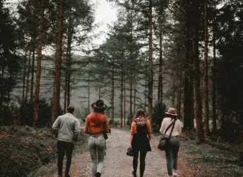 e11ec6e9-0fd5-4aab-815b-34ff2621c2f1